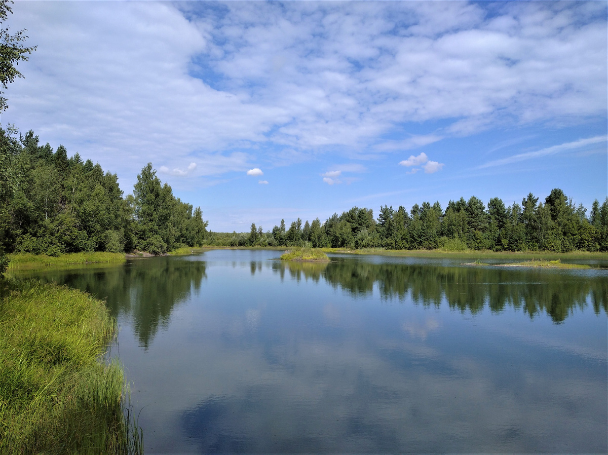 Тульская область.
