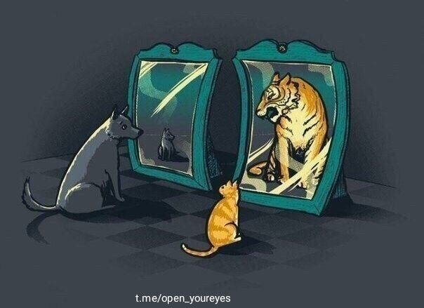 Источник:Telegram-канал open your eyes 