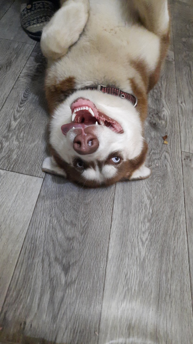 Вот оно счастье 😘