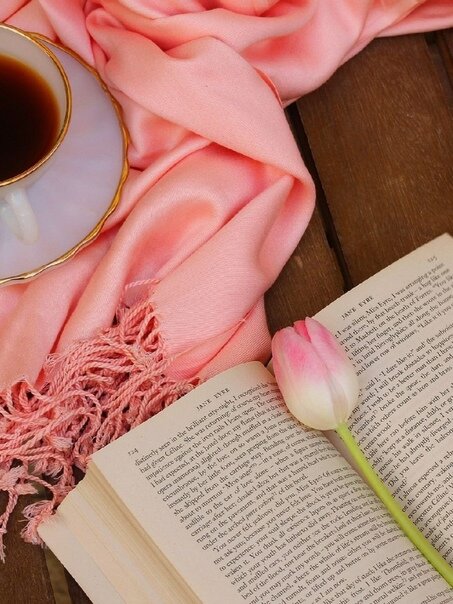 фото Яндекс Картинки