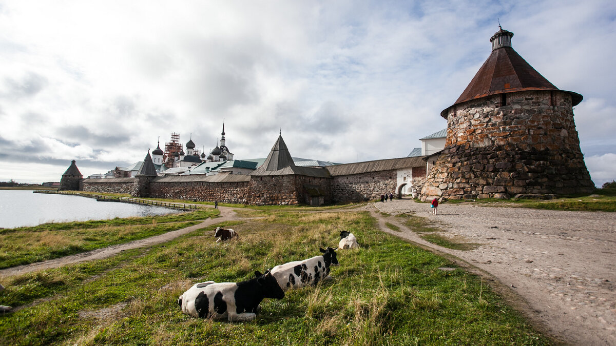 Соловецкий монастырь природа
