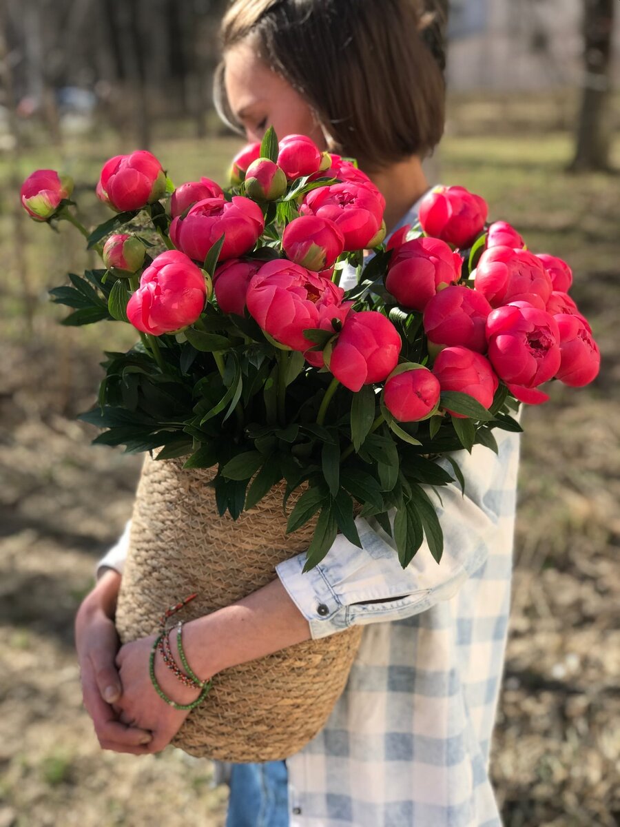 На фото: пионы Корал Шарм в плетеной корзине. 