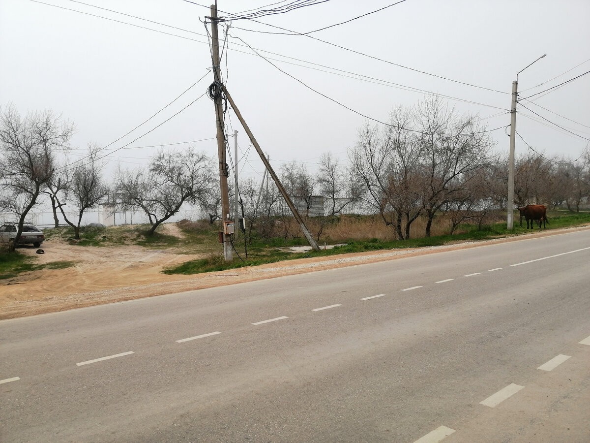Погода в Межводном. Сначала было просто пасмурно, а потом опустился густой туман