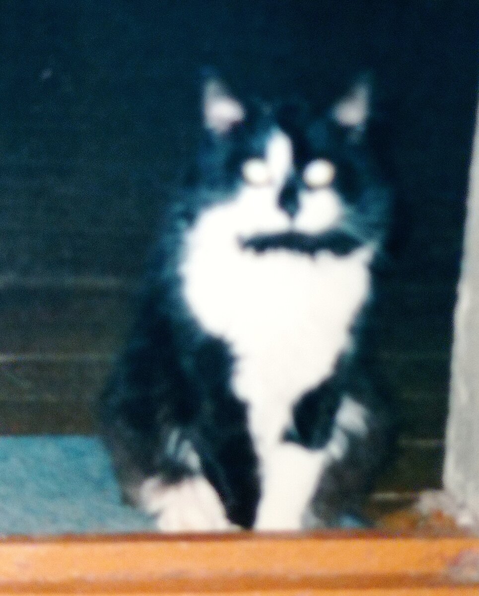 Да, качество не очень, зато фотка не из интернета и это именно Макс