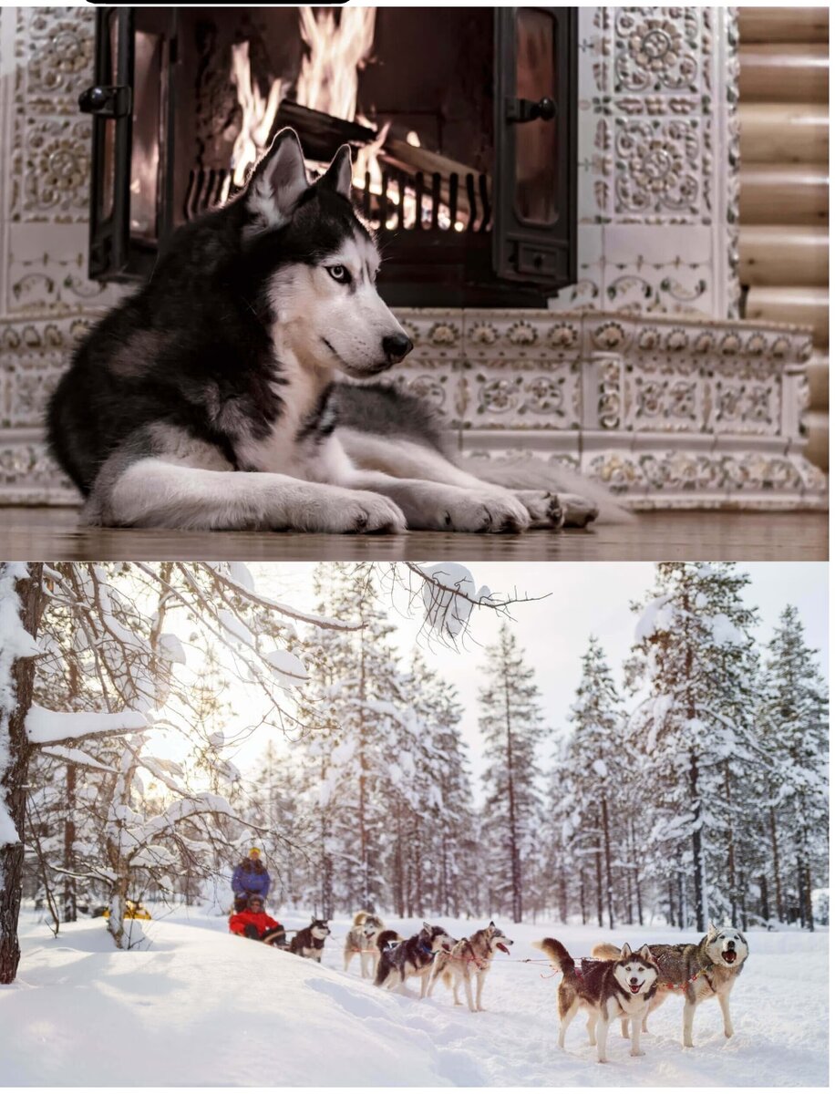 Взято из открытого источника