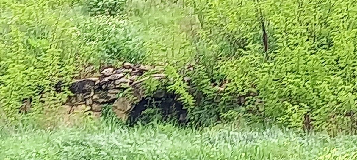 Древний мост Екатерины II