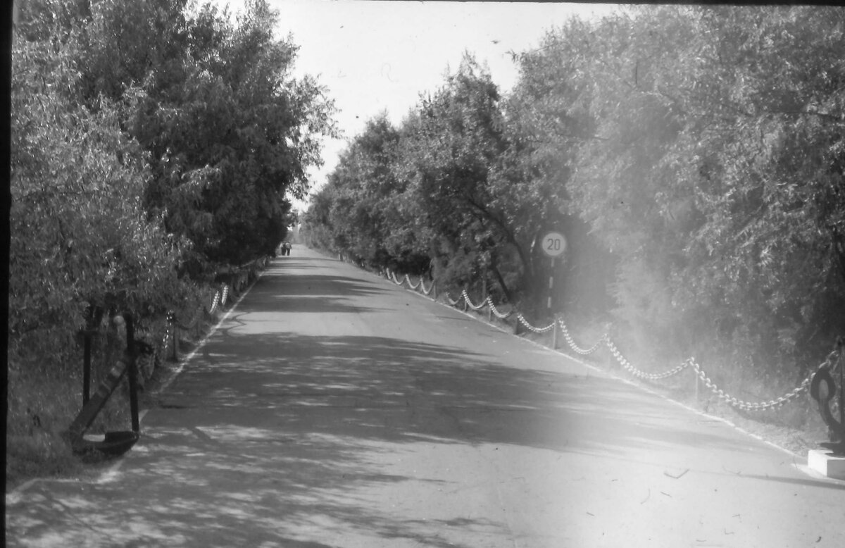 Главный проспект бригады