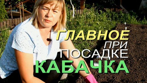 Посадка КАБАЧКОВ семенами в открытый грунт!