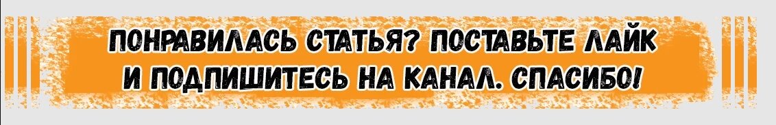 Если Вашей мечтой стала кошка, купить её можно, обратившись в профессиональный питомник кошек.-2