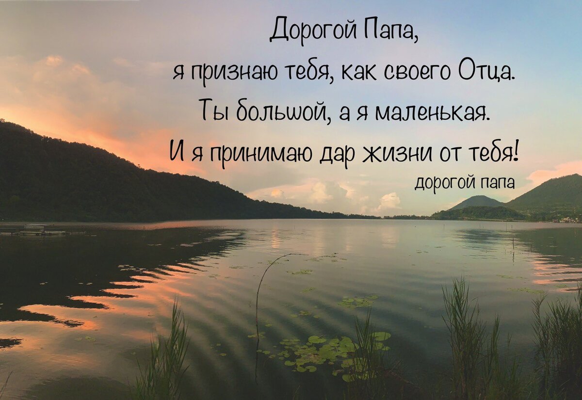 Папа. Роль отца в жизни ребенка. Фразы-ключи. | Елена Сорока | Дзен