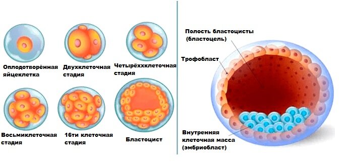 изображение из свободных источников