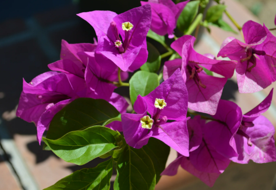 Фотография взята из источника happymodern.ru