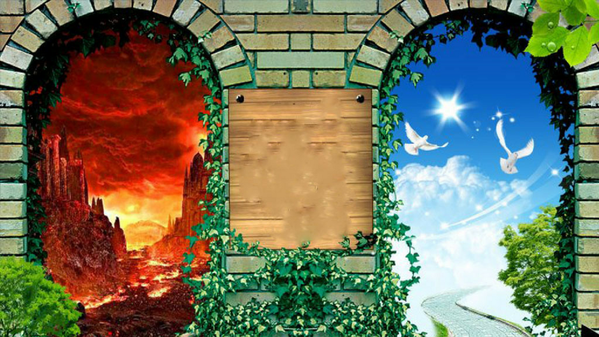 Фото из интернета.