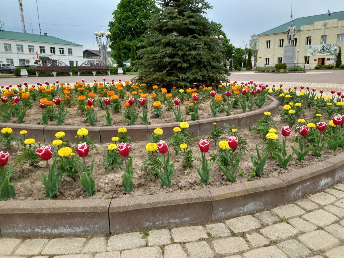 Фото конца мая. С Ярославом уже делала. Он ко мне приехал 28 мая.