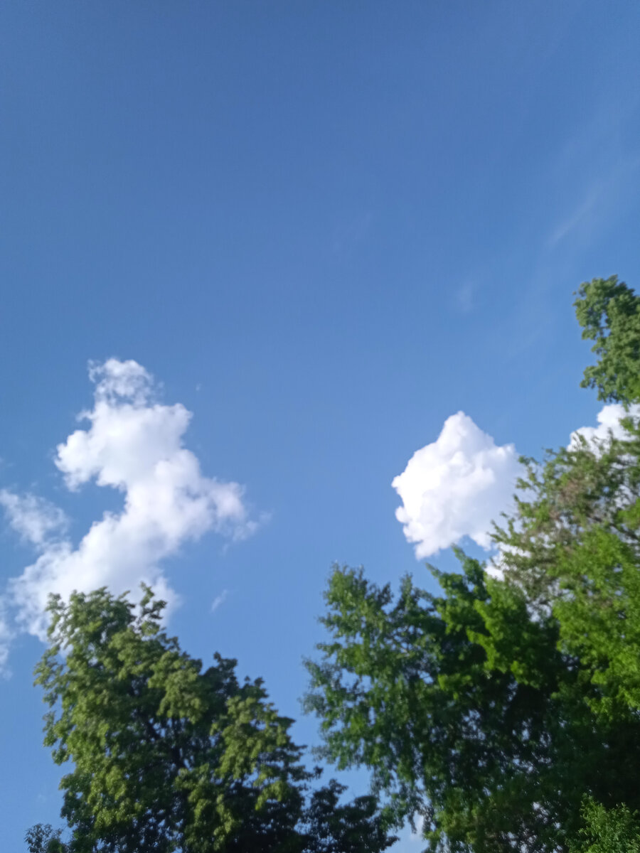 Многие люди считают, что смерть выход. Тогда я задам вам такой вопрос: вы любите сидеть одни в тёмной комнате и тишине? Нет! Все хотят быть в окружении людей. 