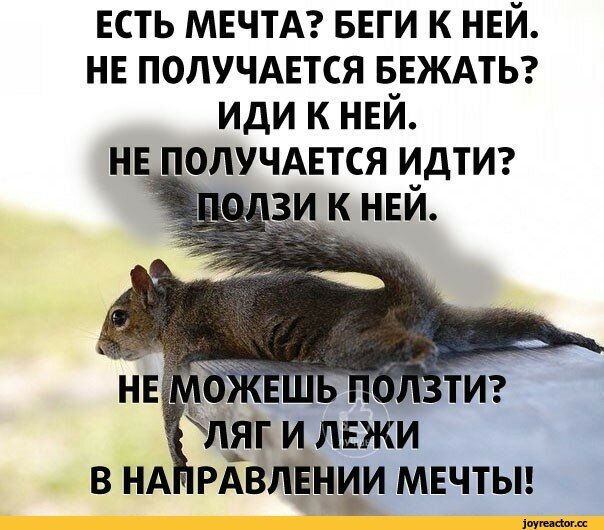 Из Интернета