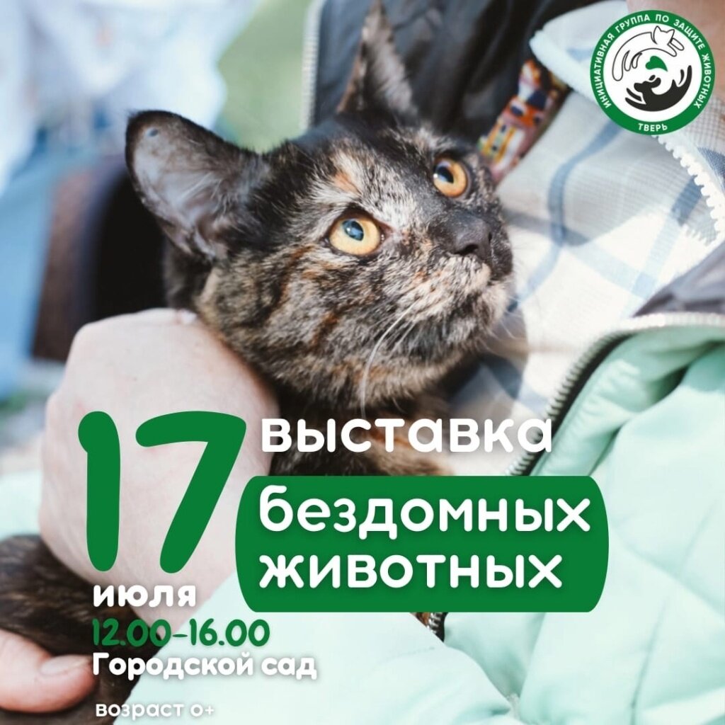 В Твери в Горсаду на выставке-раздаче собаки и кошки будут ждать хозяев
