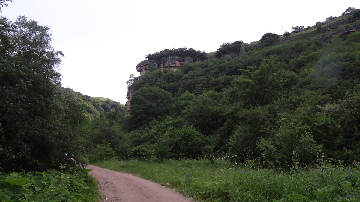 Окрестности Замка коварства и любви