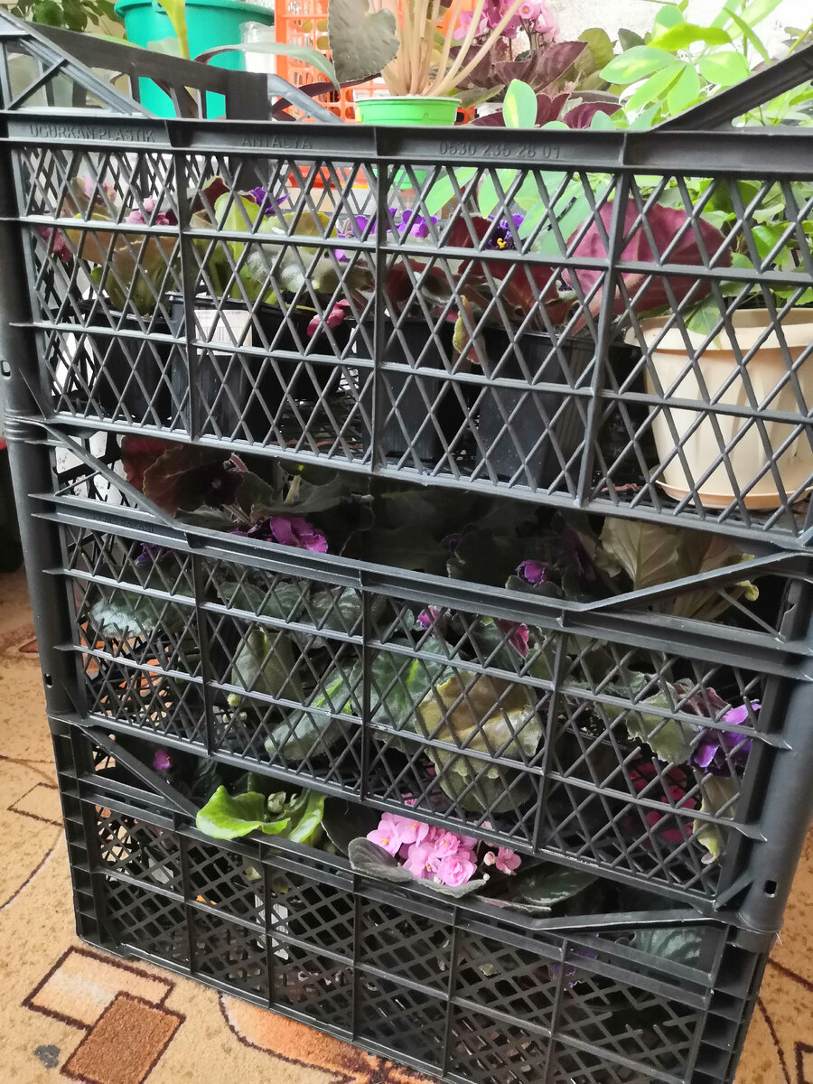 Фото автора. 