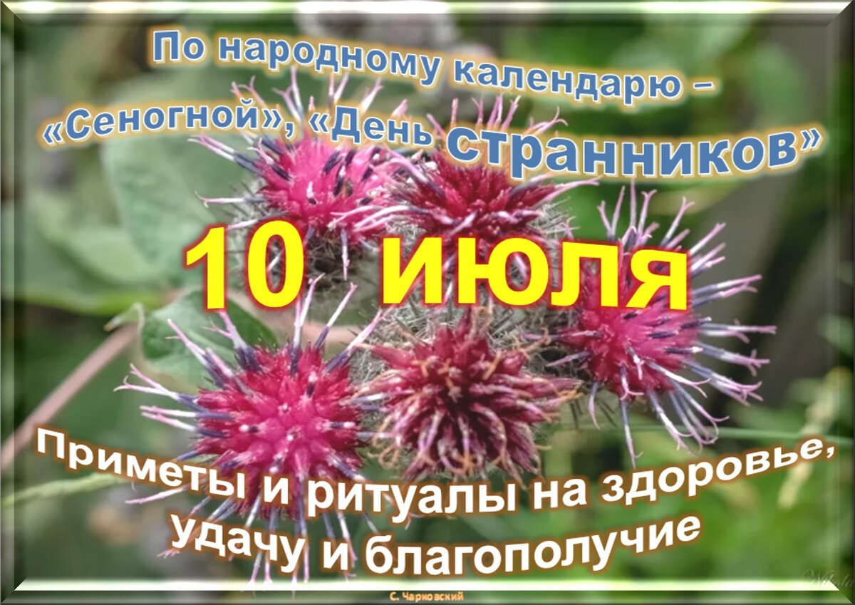 Какие праздники 10 апреля 2024. 10 Июля праздник. 10 Июля приметы. Какой сегодня праздник 10 июля. Необычные праздники 10 июля.