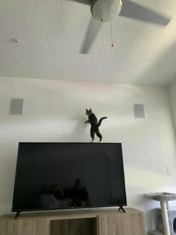 Источник: imgur.com