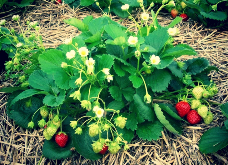 Редактировать галереюДобавьте описание