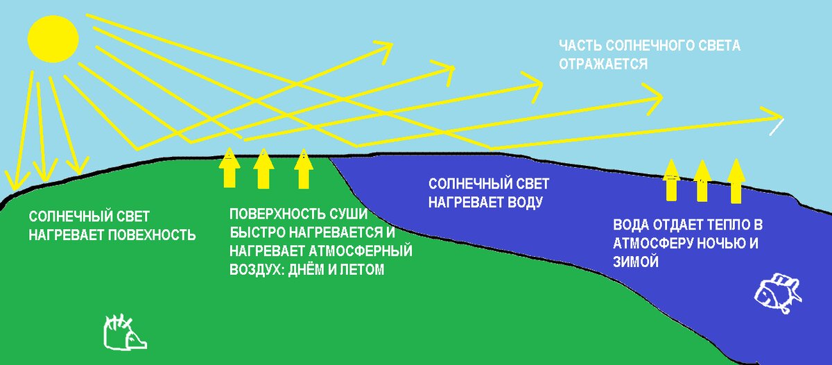 Днем прибрежный ветер дует в сторону суши, ночью прибрежный ветер дует в сторону воды.