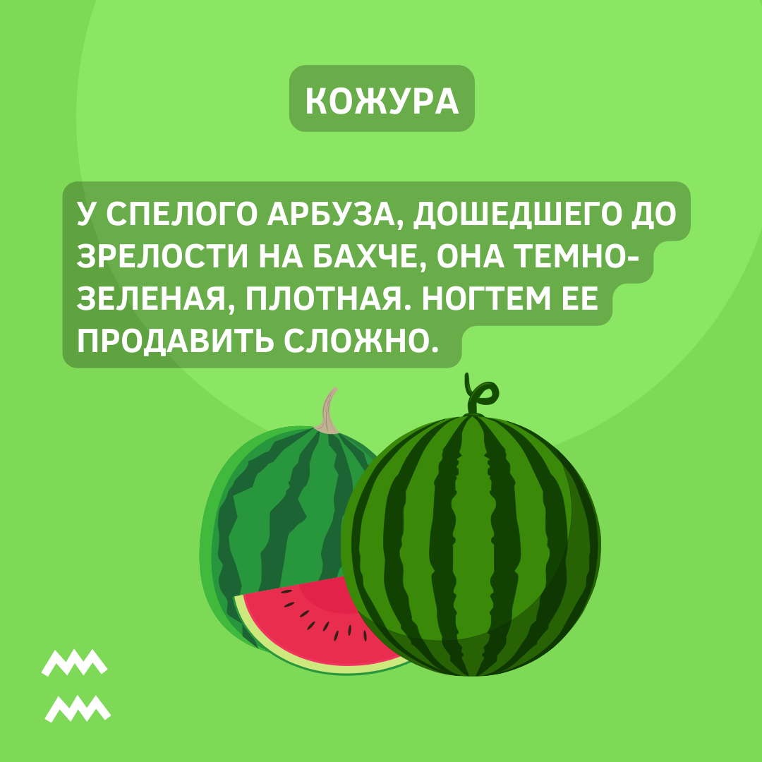 Какой арбуз выбирать. Выбор арбуза. Как выбрать спелый Арбуз. Как выбрать Арбуз. Признаки сладкого и спелого арбуза.