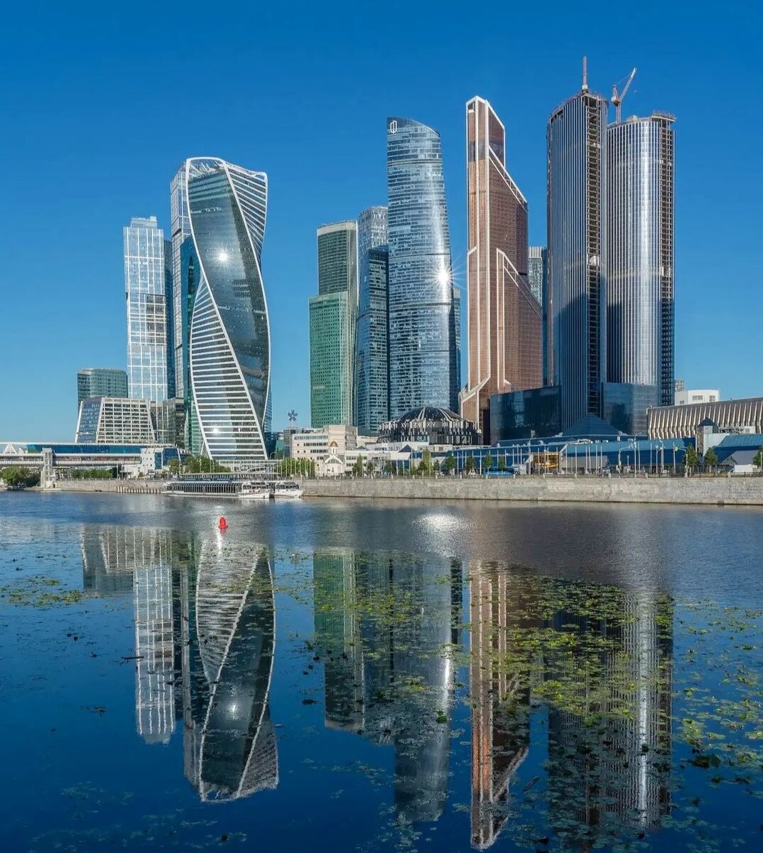 Купить квартиру в новостройки Москвы. Инвестиции в недвижимость. Услуги экспертов “ЧестнокофЪ” бесплатно. Тел: +7 (999) 555-28-82