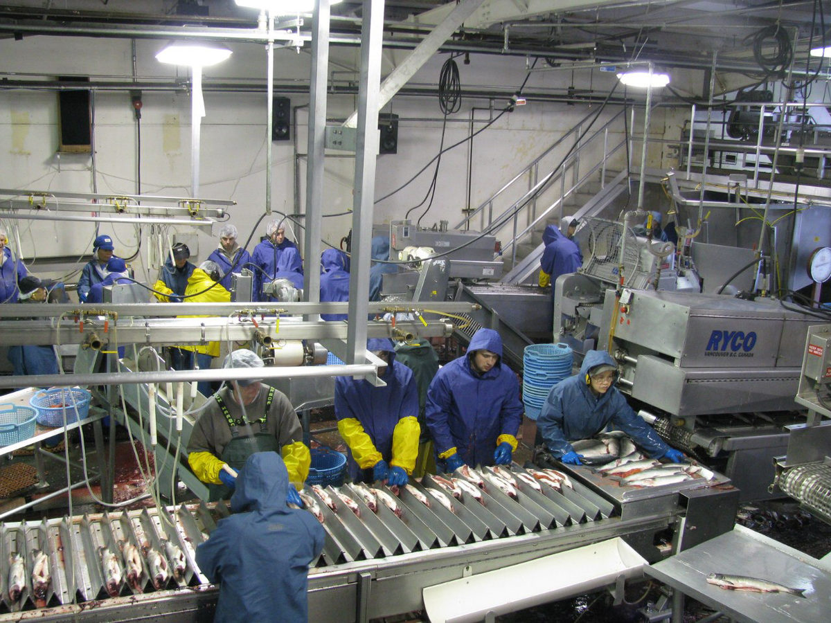 В горячий сезон сотрудников на линиях было в три раза больше.