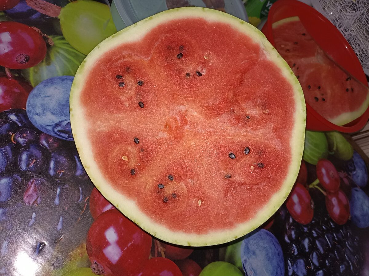 Вроде и красный, вроде и кожица тонкая, но какой-то жёсткий и кислый. 😒 Фото автора