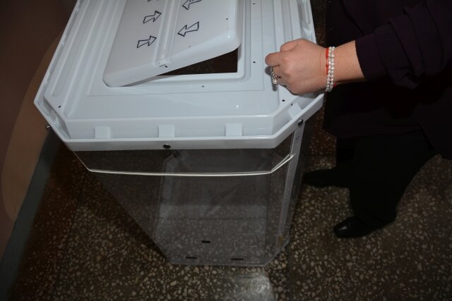    Выборы Марина Каширская © ИА REGNUM