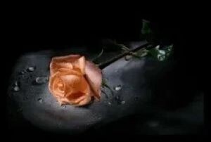 Источник картинки: интернет