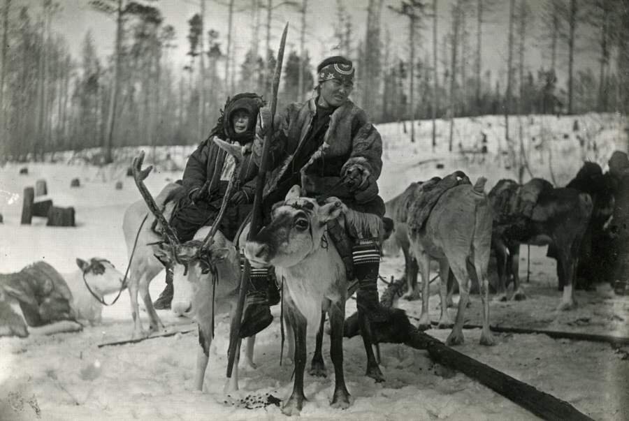 Оленеводы Эвенкии. Фото из архива Российского этнографического музея