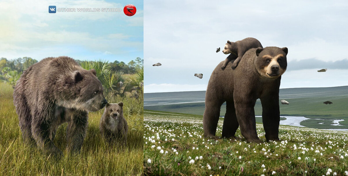 Когда вышла с сыном прогуляться на часик, а через 4 часа возвращаешься домой, неся его на себе. Неплохо прошлись!