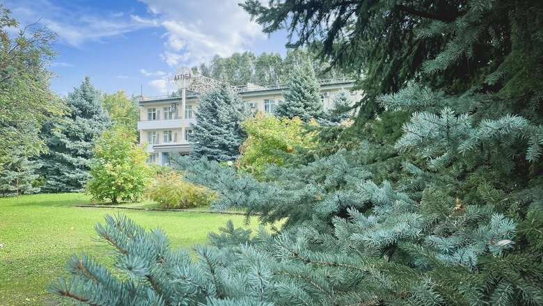 Фото: Антон Засимов / novostivolgograda.ru