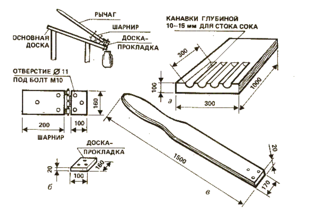 Лучшая соковыжималка для яблок (обзор)