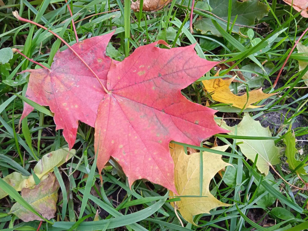   ГТРК "Ставрополье"