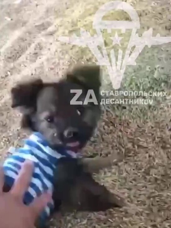     скриншот видео