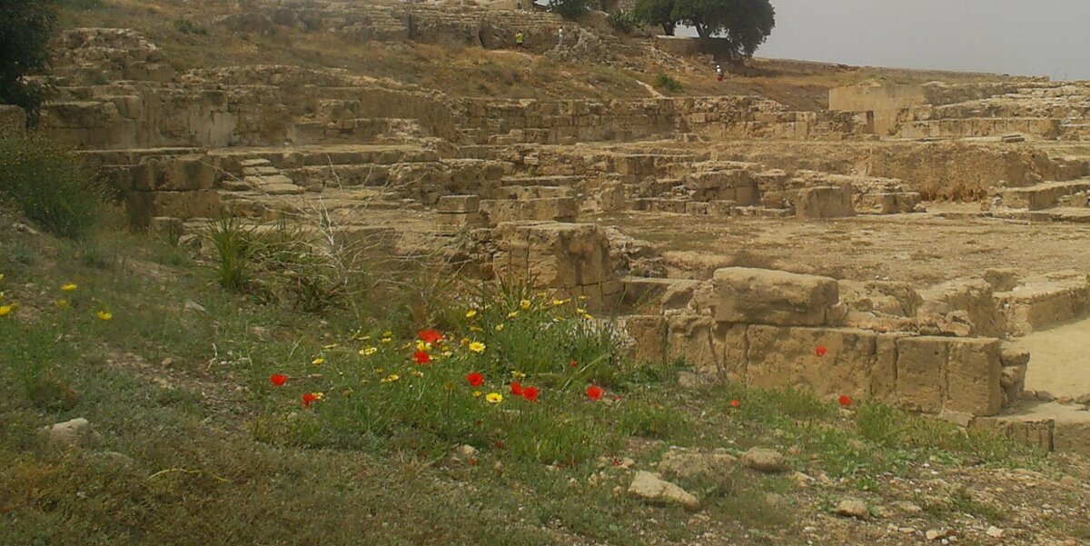 Природа Кипра (фото снято автором поста)