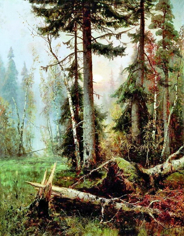 "Дебри" (1895)