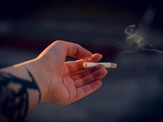     Фото unsplash.com