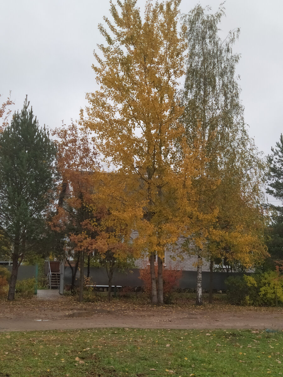 Дом родной