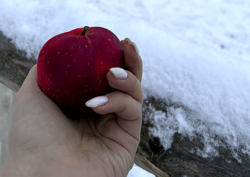    Почему запретный плод сладок и можно ли запретом решить хоть что-нибудь