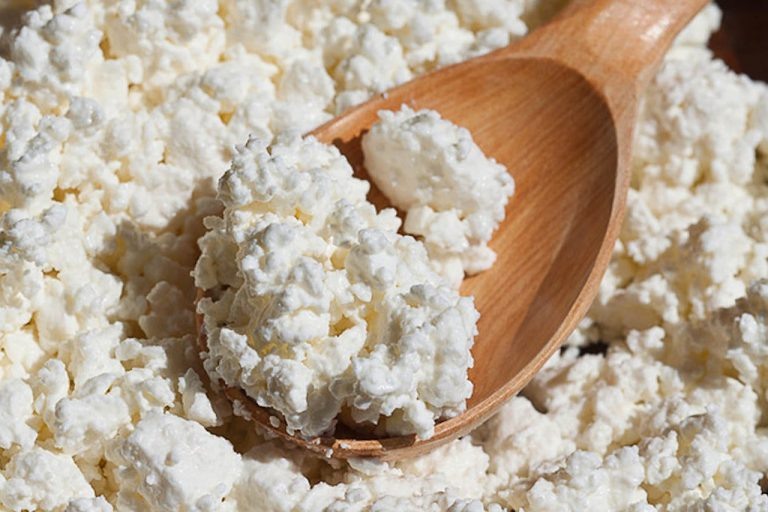    В Оренбургской области из 125 кг молока на предприятии изготовили 800 кг творога Кристина Просвиркина