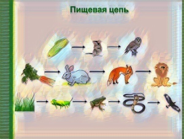 Украшения на карантине: 12 ответов на вопрос, как почистить драгоценности в домашних условиях