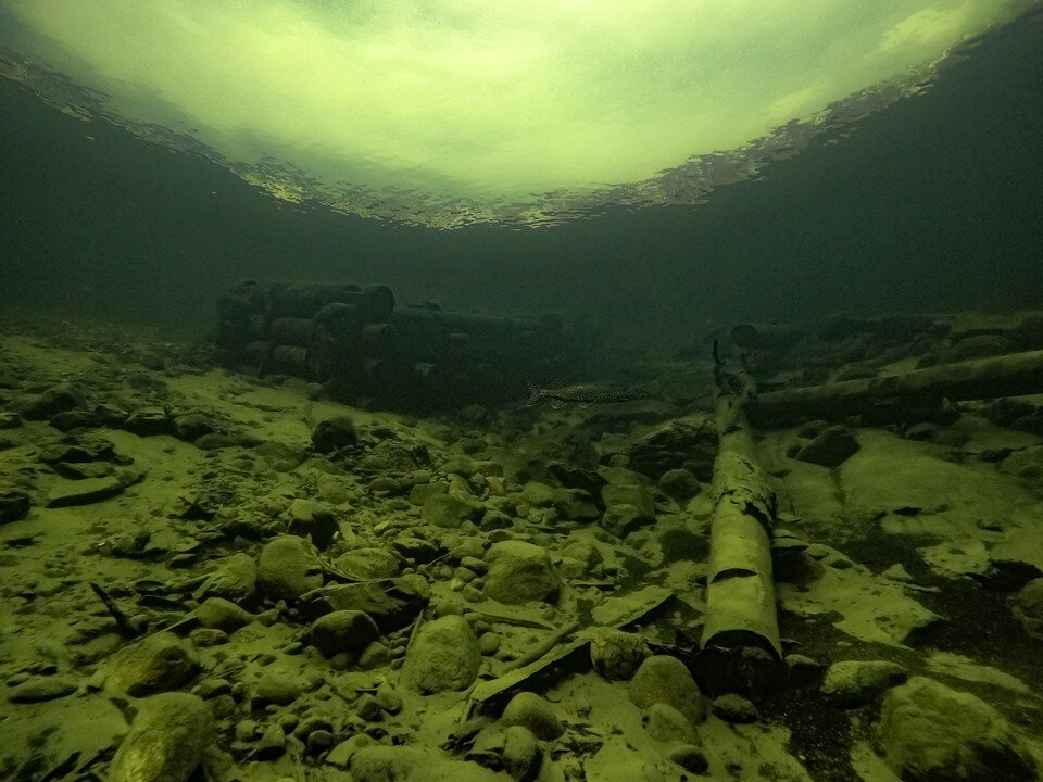     Зимой жизнь в озере не замирает. Фото: Роман Воробьев и Татьяна Клименко, Алтайский заповедник
