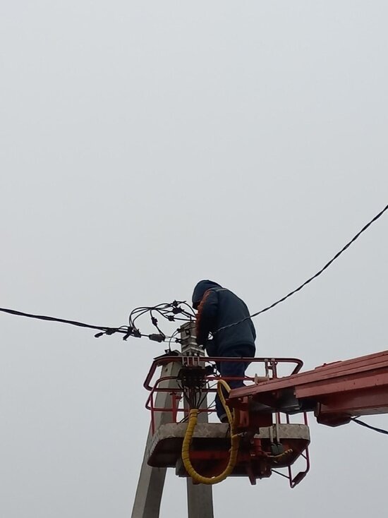     Фото: «МК в Черноземье»