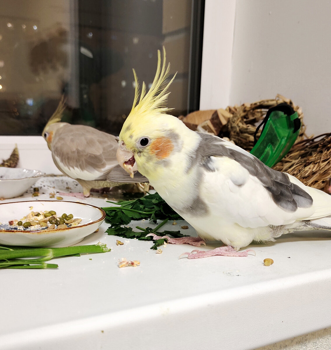 Джозеф в день приезда. Все фото автора.