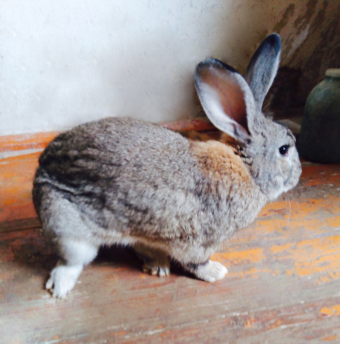 Сеня пытается увильнуть от фотосъемки))